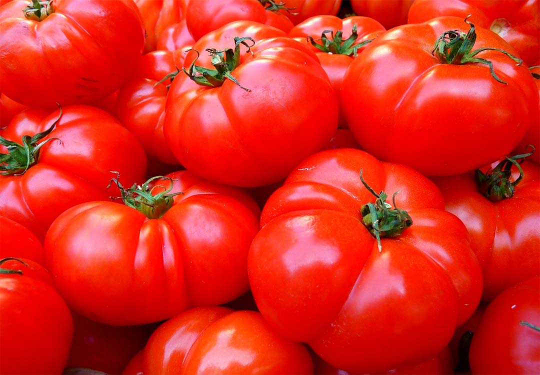bitwa na pomidory